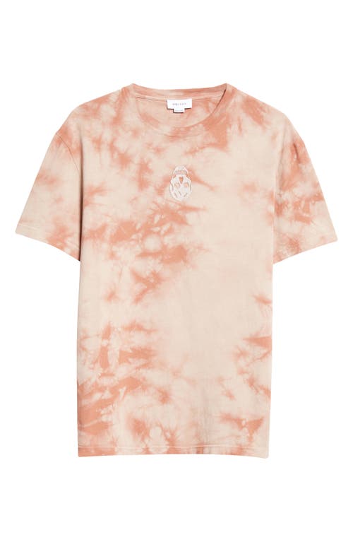 Shop Alexander Mcqueen Skull Patch Tie Dye Cotton T-shirt In Beige