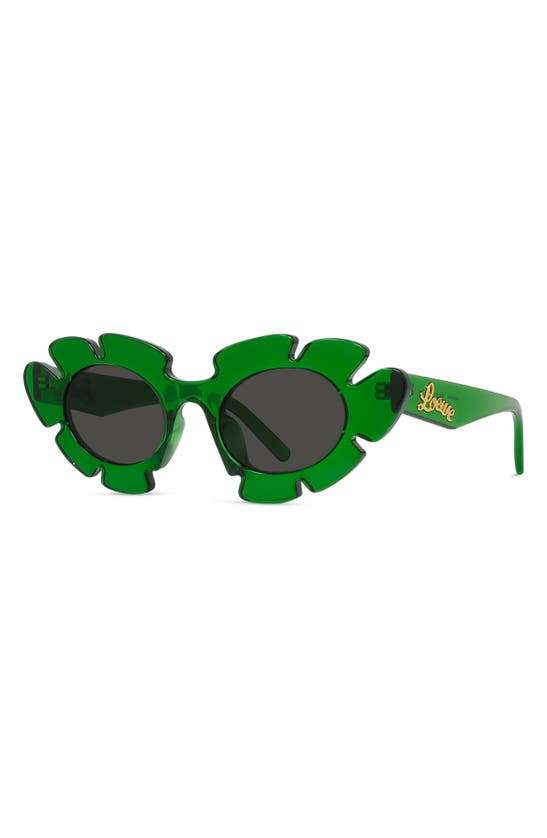 Loewe X Paula's Ibiza 47mm Cat Eye Sunglasses In Dark Green/ Other / Smoke