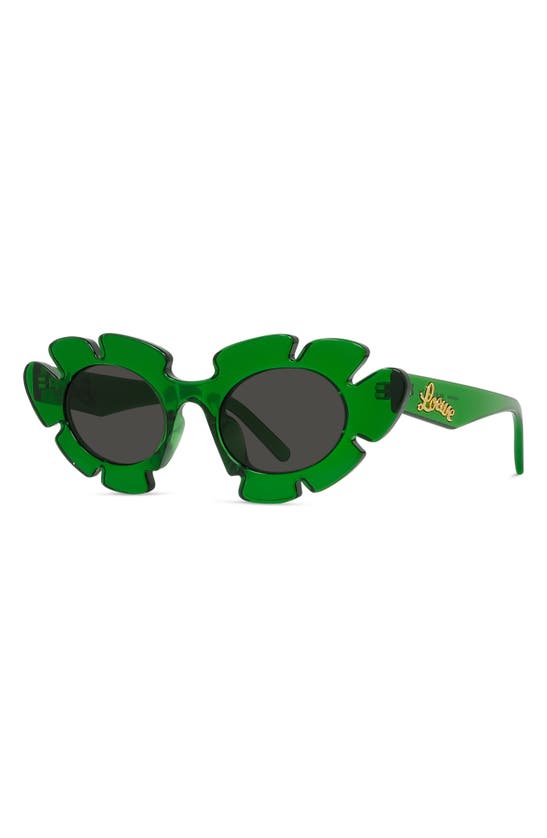 Shop Loewe X Paula's Ibiza 47mm Cat Eye Sunglasses In Dark Green/ Other / Smoke