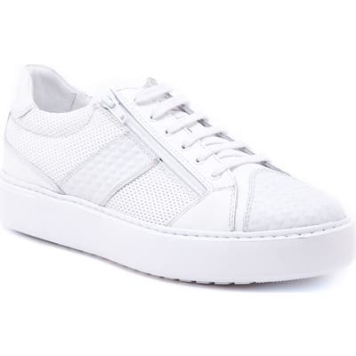 Jared Lang Justin Perforated Sneaker, White
