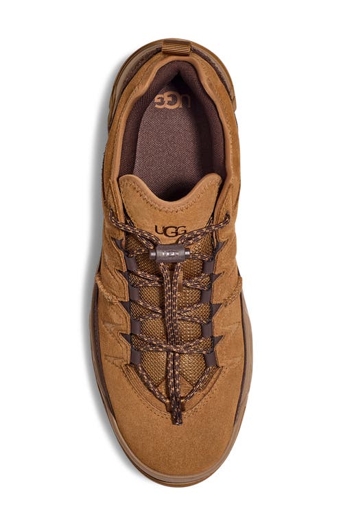 Shop Ugg(r) Captrail Low Waterproof Sneaker In Chestnut