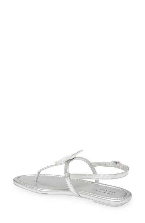 Stuart Weitzman X Sandy Liang T-strap Slingback Sandal In Silver/ White