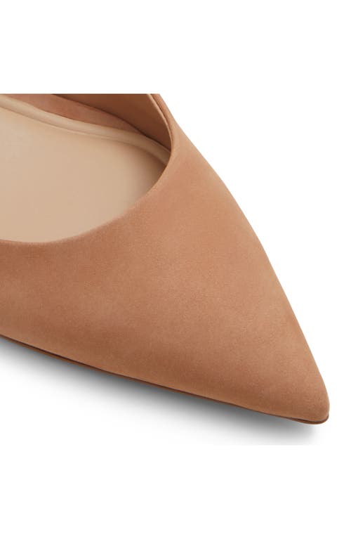 Aldo Uliana Slingback Pointed Toe Pump In Brown