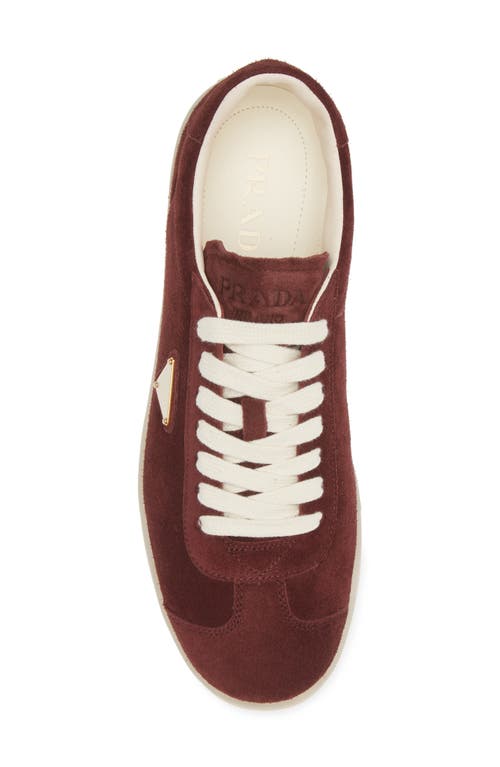 Shop Prada Lane Triangle Logo Sneaker In Bordeaux