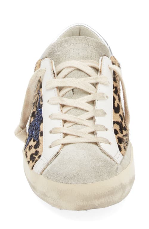 Shop Golden Goose Super-star Private Edition Genuine Calf Hair Sneaker In Leopard/blue