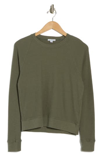 Shop James Perse Relaxed Raglan Sleeve Cotton Pullover In Palm