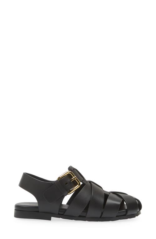 Shop Bottega Veneta Alfie Fisherman Sandal In Black