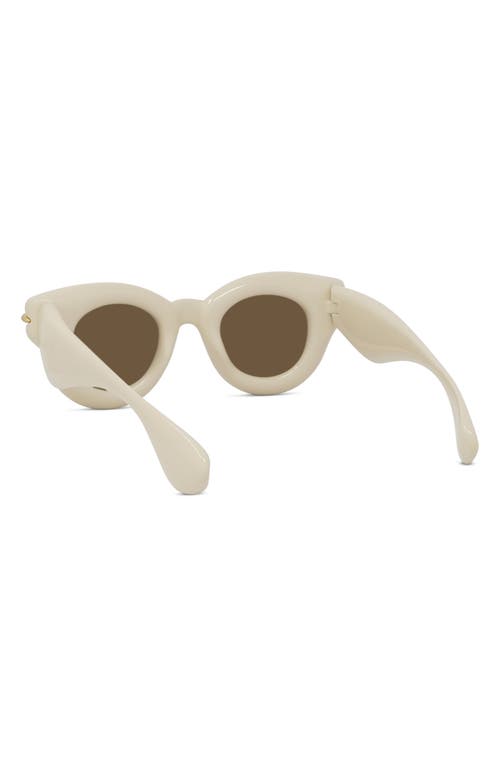 Shop Loewe Inflated Pantos 46mm Round Sunglasses In Ivory/brown