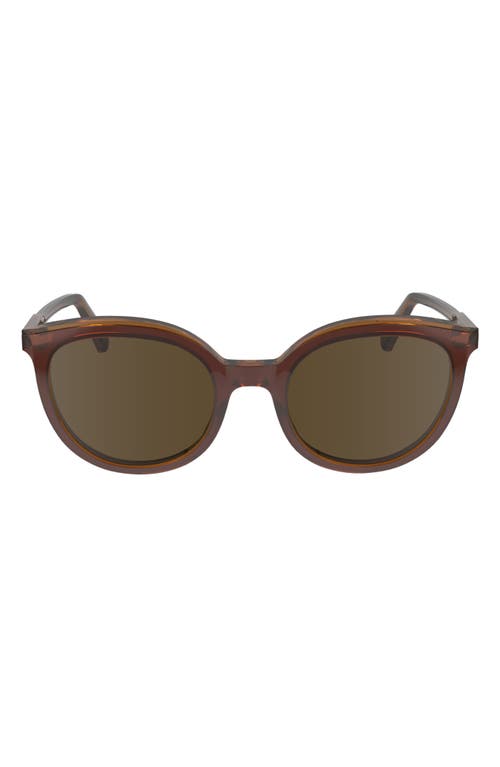Longchamp 50mm Round Sunglasses In Brown/caramel