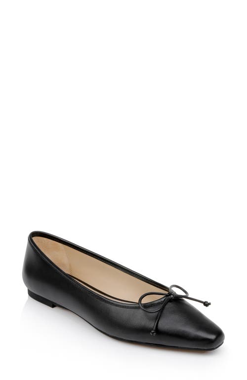 Cam Pointed Toe Ballet Flat in Black