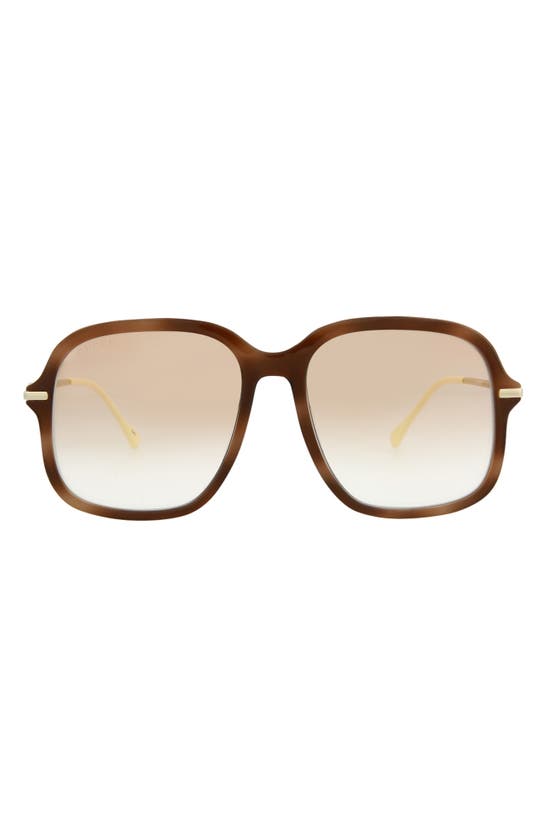 Gucci 57mm Oversize Square Sunglasses In Havana