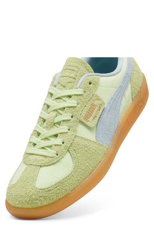 Shop Puma Palermo Sneaker In Cool Cucumber-frosted Dew-gold