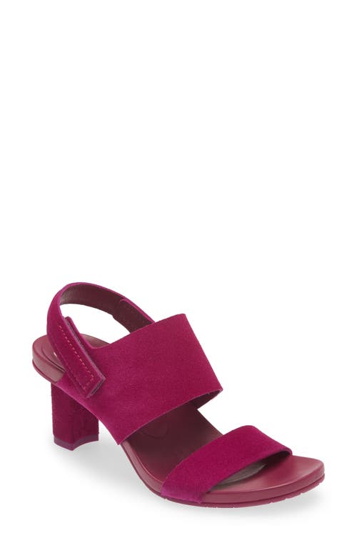 Pedro Garcia Collins Slingback Sandal in Dahlia Castoro at Nordstrom, Size 6Us