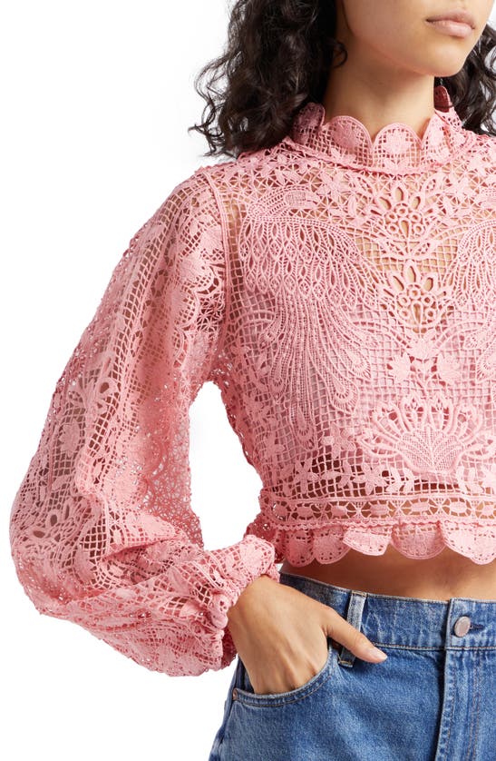Shop Farm Rio Guipure Long Sleeve Crop Top In Blush Pink