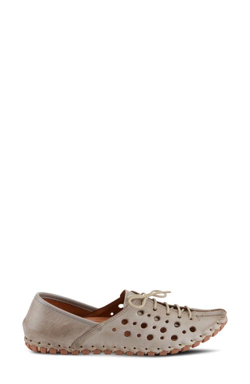 Spring Step Moonwalk Perforated Leather Shoe In Grey