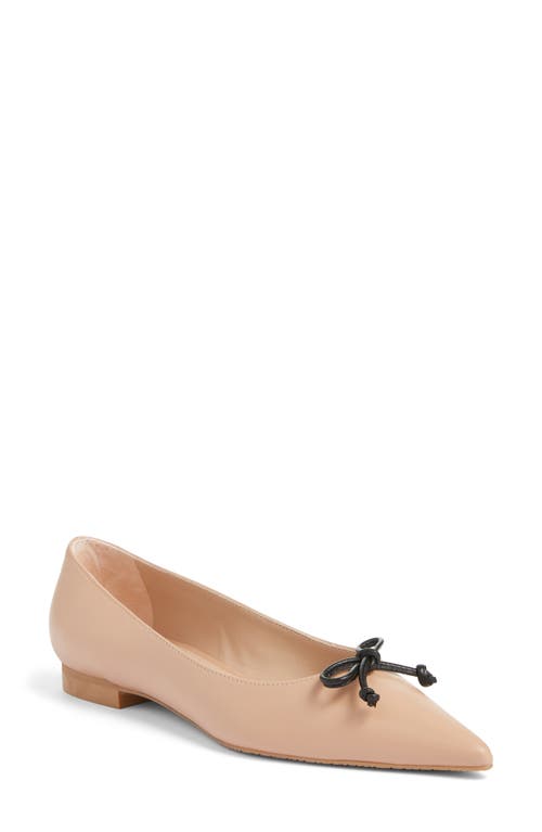 Shop Stuart Weitzman Landon Pointed Toe Ballet Flat In Adobe/black