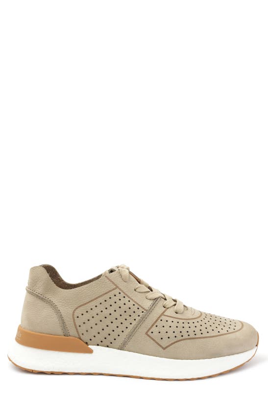 Gentle Souls By Kenneth Cole Laurence Jogger Sneaker In Mushroom