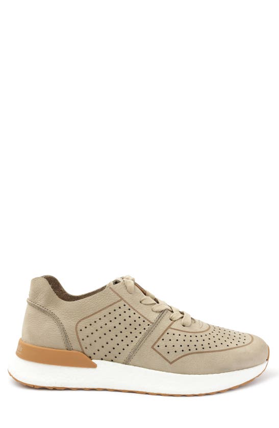 Shop Gentle Souls By Kenneth Cole Laurence Jogger Sneaker In Mushroom