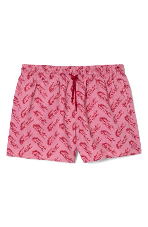 Lacoste Logo Print Cotton Swim Trunks Ay1 Lighthouse Red/Reseda at Nordstrom,
