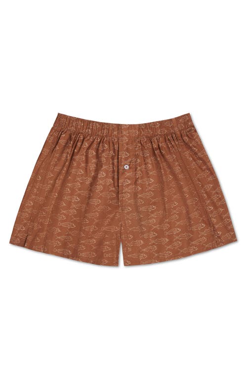 Shop Druthers Nyc Organic Cotton School Of Fish Boxer Short In Terra Cotta Fish