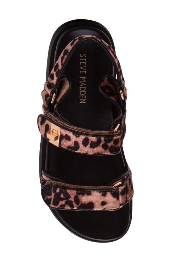 Steve Madden Mona Sandal In Leopard Velvet