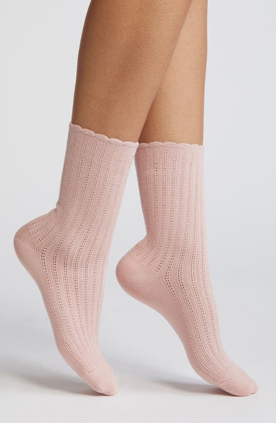 Shop Nordstrom Pointelle Scalloped Edge Crew Socks In Pink Smoke