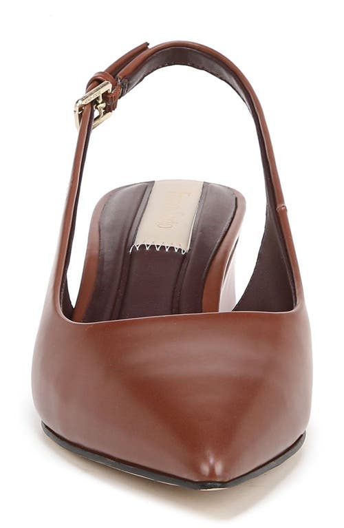 Franco Sarto Women's Racer Pointed Toe Block Heel Slingback Pumps In Brown