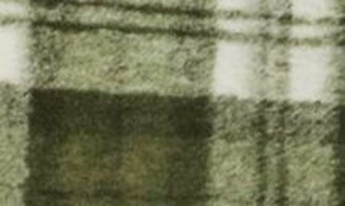 Rails Saxon Relaxed Fit Plaid Snap-up Shirt In Green Mist
