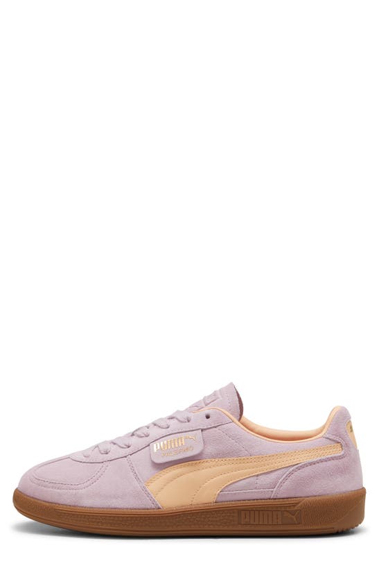 Puma Palermo Sneaker In Grape Mist-peach Fizz