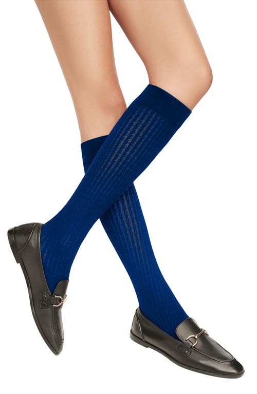 LECHERY® Ribbed Knee High Socks in Navy