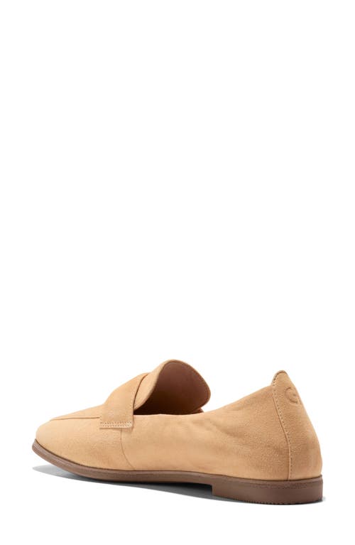 Shop Cole Haan Trinnie Loafer In Buck Wheat