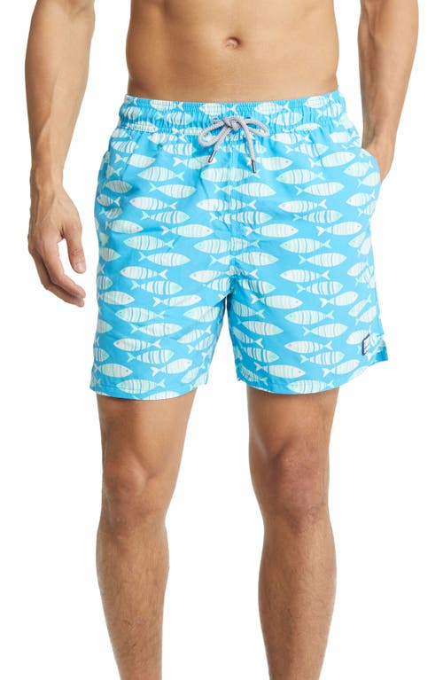 Tom & Teddy Fish Print Swim Trunks Striped Blue at Nordstrom,