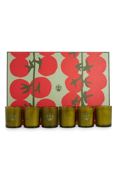 Flamingo Estate The Tomato Ambiance Set, 6 X 3.4 Oz. In Multi