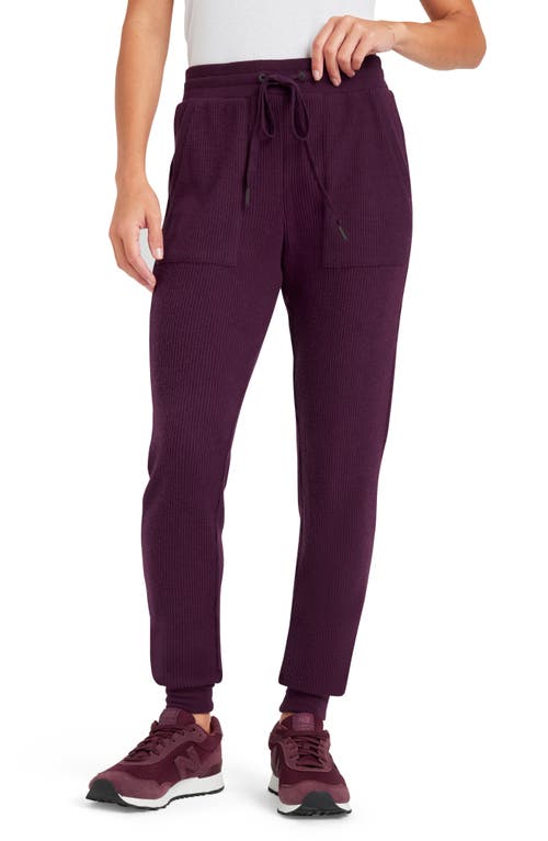 Splendid London Waffle Knit Lounge Joggers in Plum 