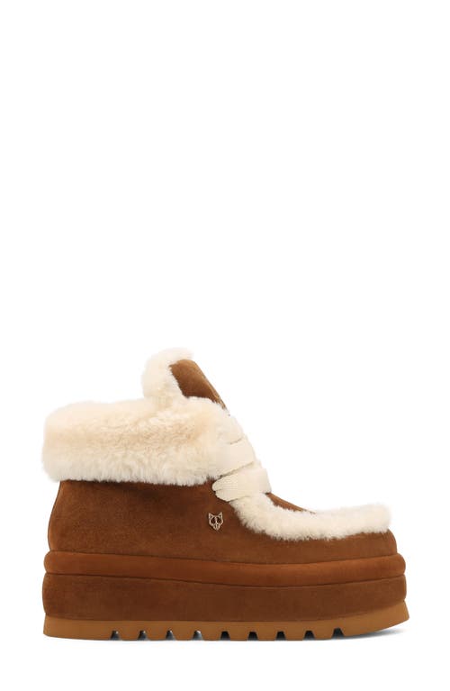 Shop Naked Wolfe Bambi Genuine Shearling Platform Bootie In Tan-suede/shearling