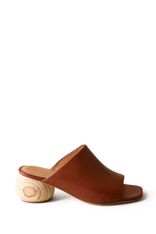 Shop Huma Blanco Milla Slide Sandal In Cinnamon