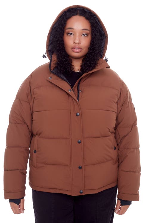 Alpine North Forillon Plus Women's Vegan Down (recycled) Short Quilted Puffer Jacket (plus Size) In Maple
