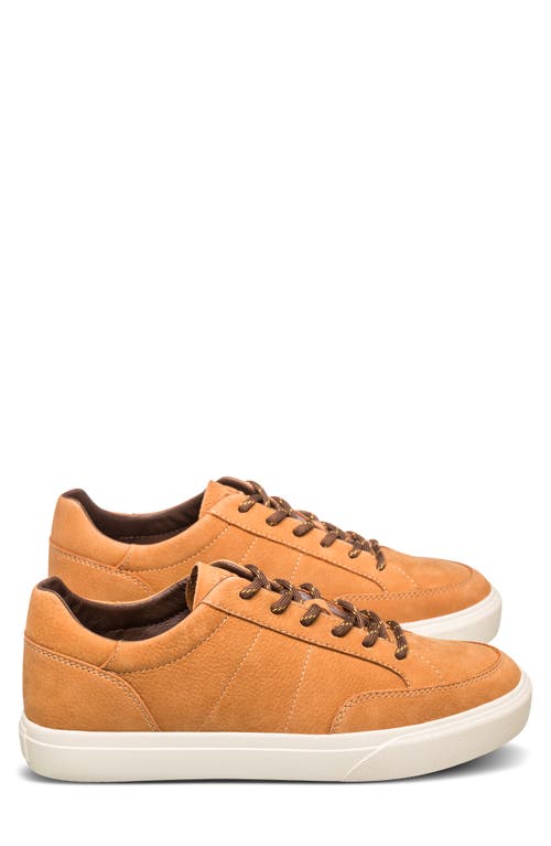 Clae Monroe Venice Leather Sneaker In Wheat Nubuck