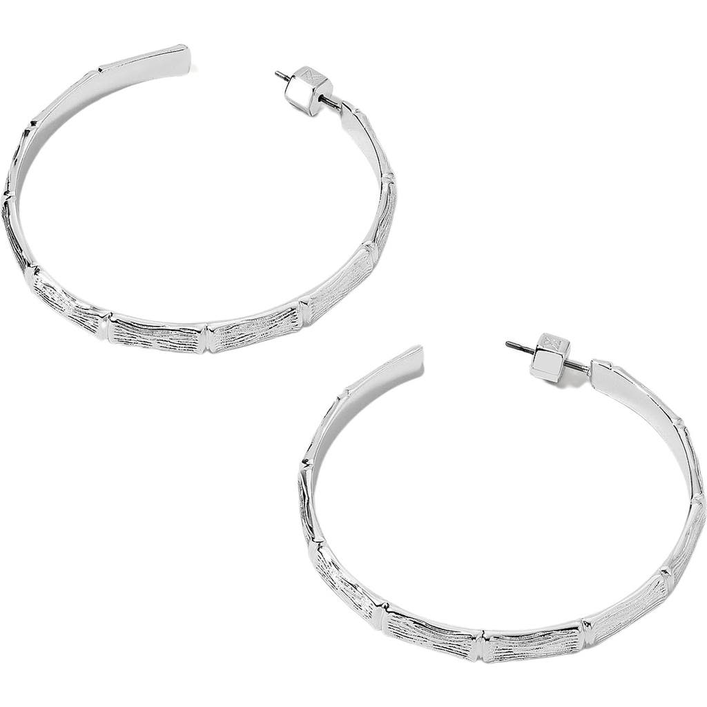 Miranda Frye Gia Hoop Earrings In White