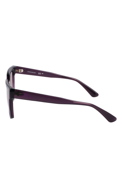 Longchamp Le Pliage 52mm Round Sunglasses In Transparent Plum