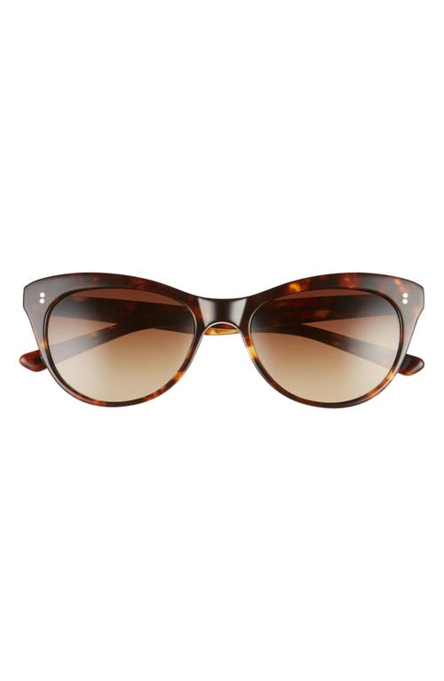 Hillier 55mm Polarized Cat Eye Sunglasses in Toasted Toffee