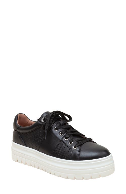 Linea Paolo Jett Platform Sneaker in Black at Nordstrom, Size 8