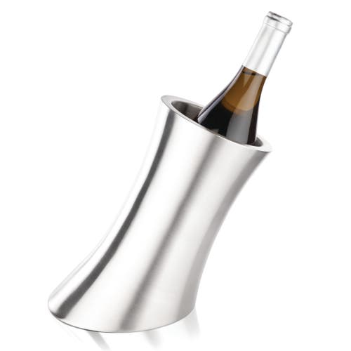 Viski Harrison Convex Bottle Chiller In Silver