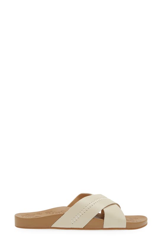 Shop Olukai Kipea Olu Slide Sandal In Puka / Tan