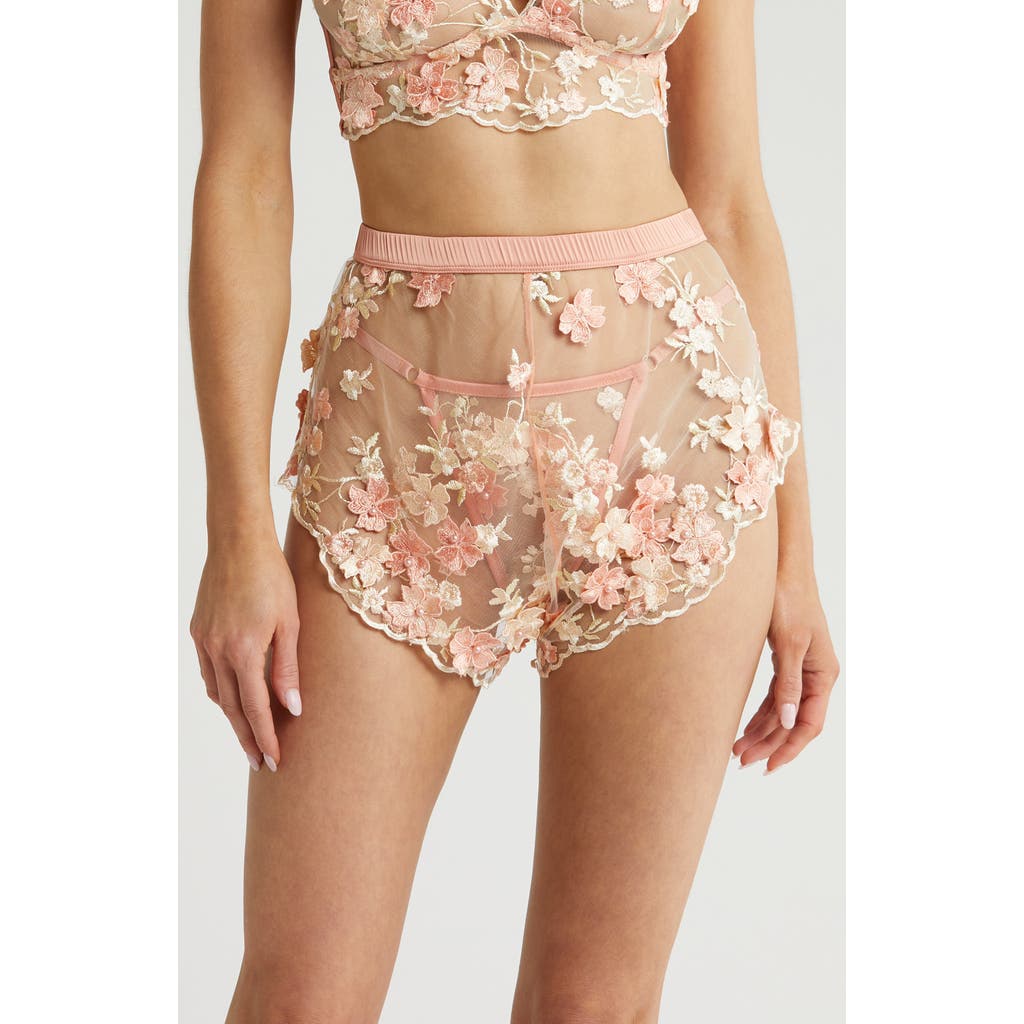 Kilo Brava Embroidered Mesh Tap Shorts In Peachy Pink