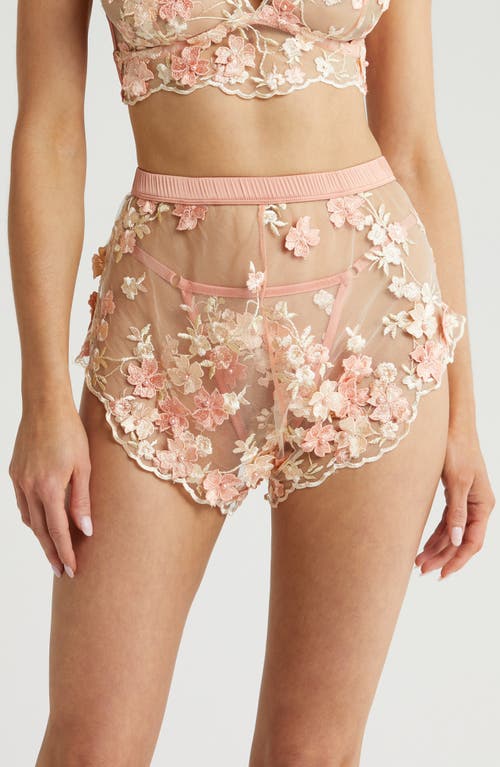 Embroidered Mesh Tap Shorts in Peachy Pink