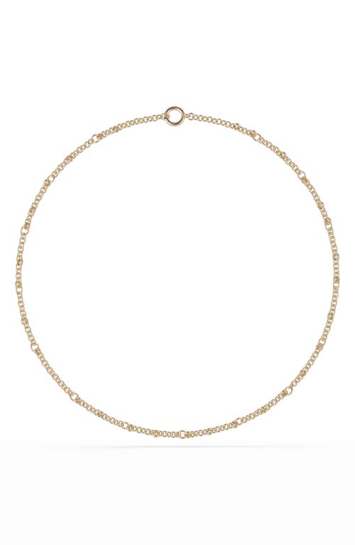 Spinelli Kilcollin Gravity Chain Necklace in Yellow Gold at Nordstrom, Size 16