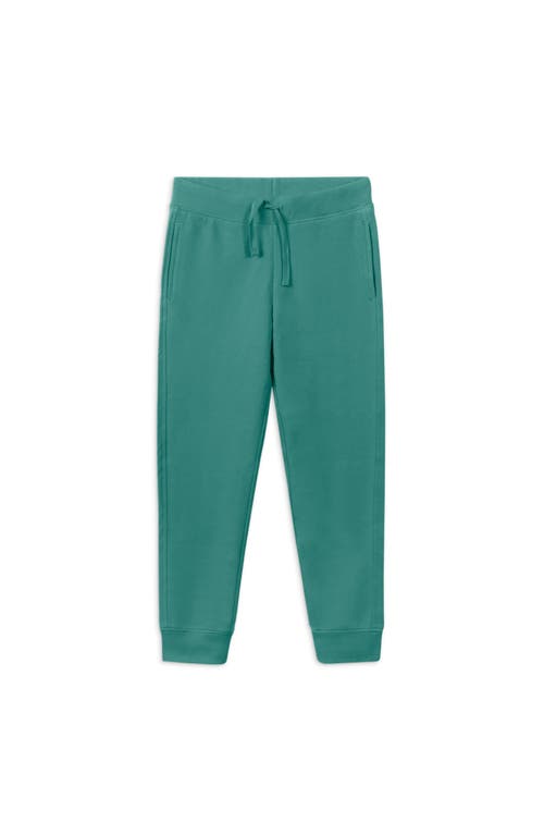 Shop Primary The Jogger In Sunwashed Teal