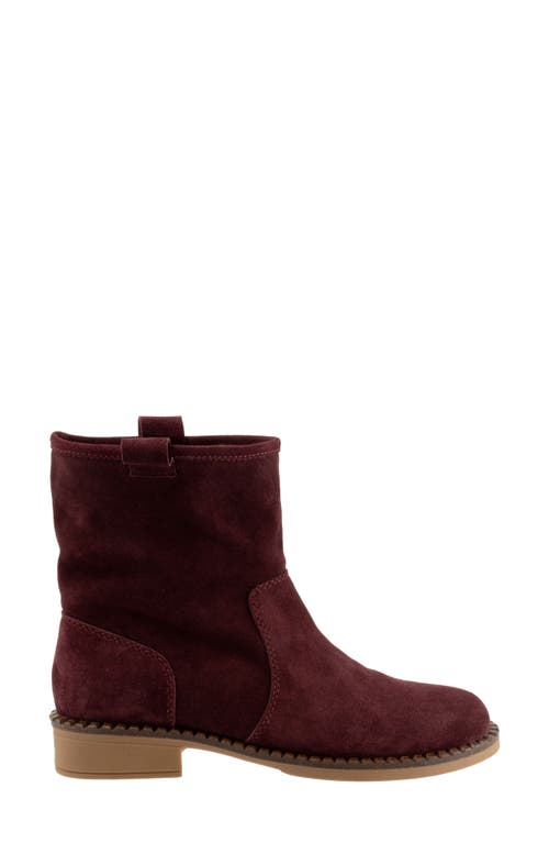 Bueno Olina Bootie In Merlot Suede