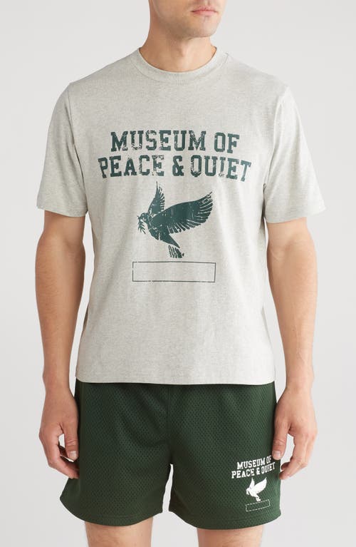 Museum of Peace & Quiet P. E. Graphic T-Shirt at Nordstrom,